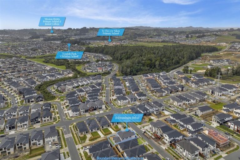 Photo of property in 59 Drumbuoy Drive, Flat Bush, Auckland, 2019