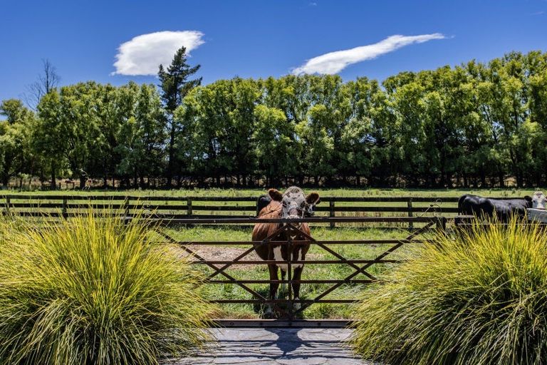 Photo of property in 78 Skewbridge Road, Flaxton, Kaiapoi, 7691
