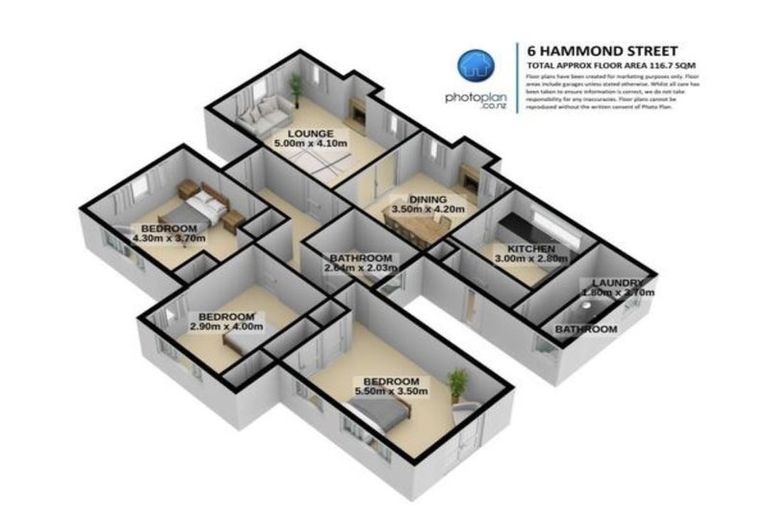 Photo of property in 6 Hammond Street, Hamilton Central, Hamilton, 3204