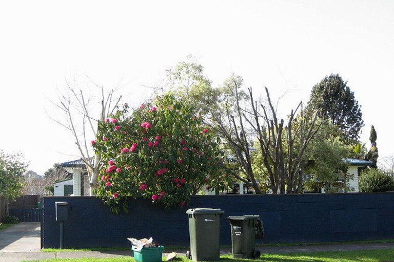 Photo of property in 174 James Street, Whakatane, 3120