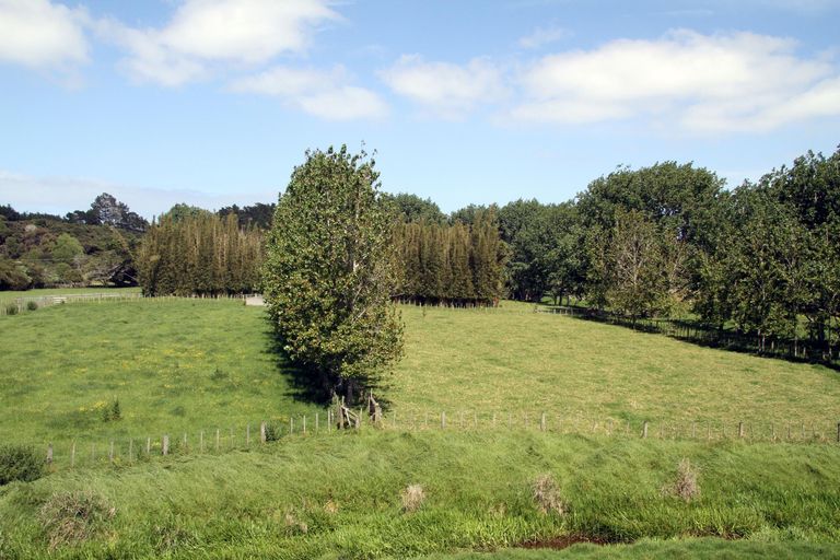 Photo of property in 3320 Far North Road, Pukenui, Kaitaia, 0484