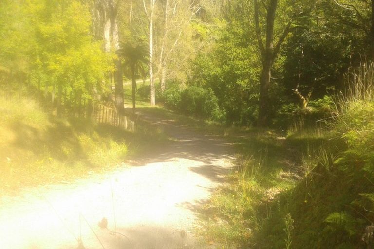 Photo of property in 116 Tauwharenikau Road, Tututawa, Stratford, 4392