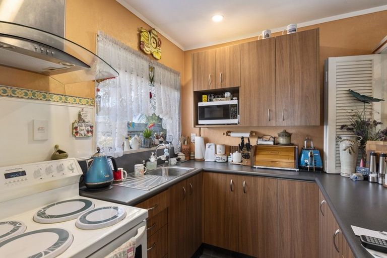 Photo of property in 19 Douglas Street, Levin, 5510