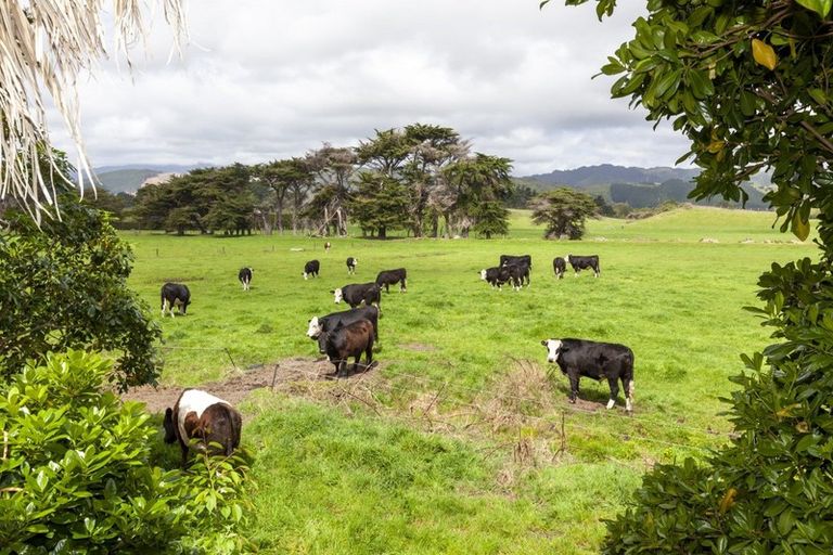 Photo of property in 78 The Drive, Paraparaumu Beach, Paraparaumu, 5032