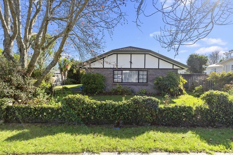 Photo of property in 77b Allen Street, Morrinsville, 3300