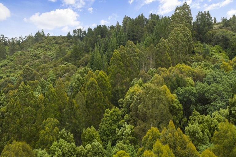 Photo of property in 1863 Takaka-collingwood Highway, Milnthorpe, Collingwood, 7182