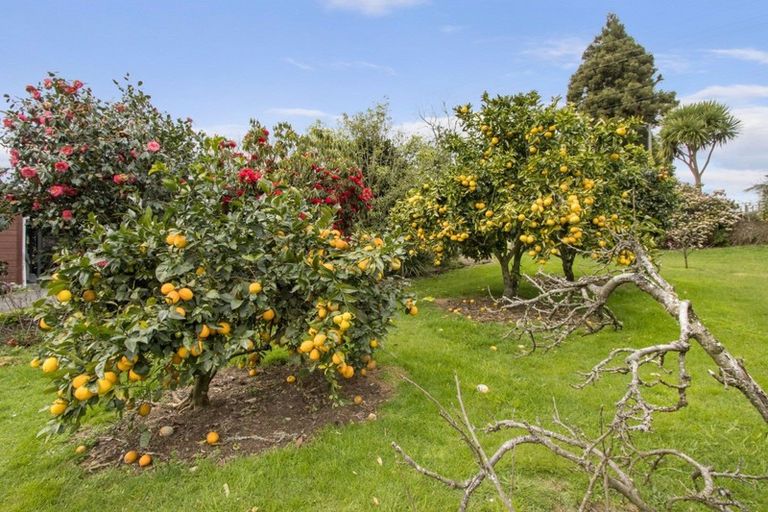 Photo of property in 83 Pukekauri Road, Waikino, Waihi, 3682