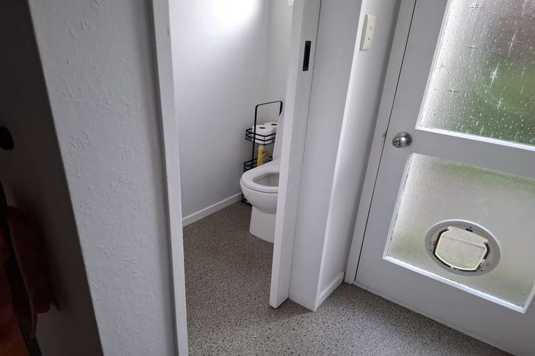 Photo of property in 118 Fitzroy Avenue, Fitzroy, Hamilton, 3206