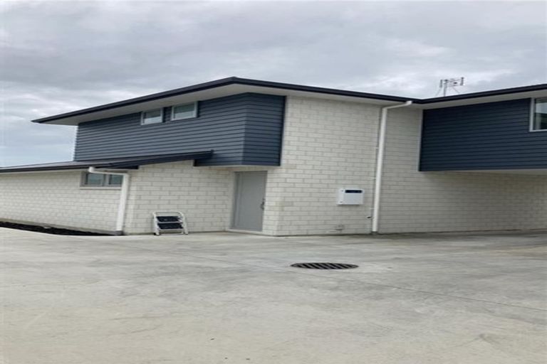 Photo of property in 20a Sare Crescent, Fairfield, Hamilton, 3214