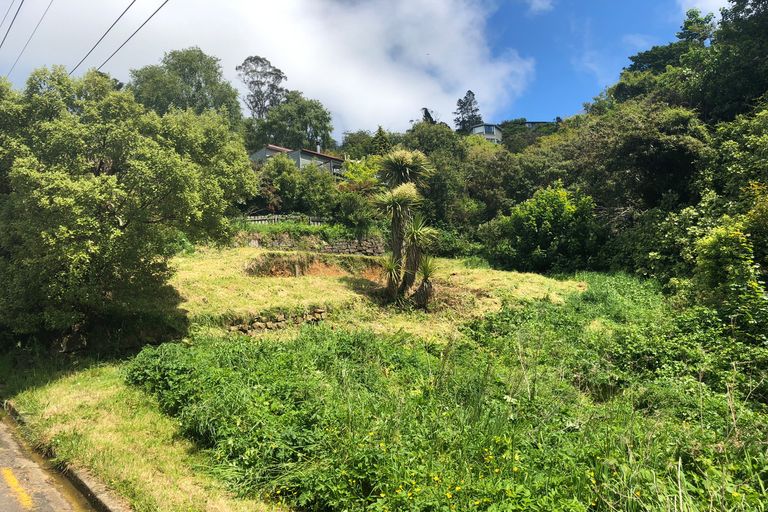 Photo of property in 24 Coombe Hay Terrace, Careys Bay, Port Chalmers, 9023