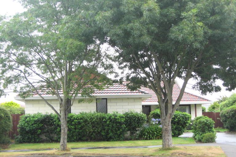 Photo of property in 17 Lovelock Street, Dallington, Christchurch, 8061