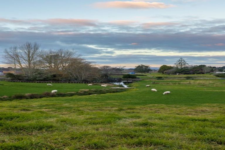 Photo of property in 123 Butcher Road, Pukekohe, 2120