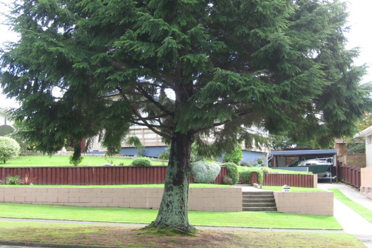 Photo of property in 216 West Parkdale Street, Tokoroa, 3420