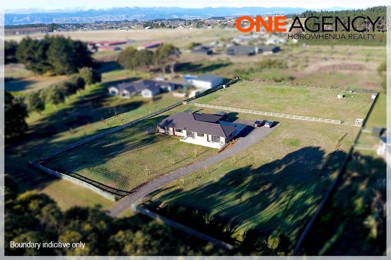 Photo of property in 77 Bergin Road, Foxton, 4814