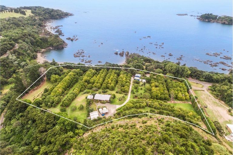 Photo of property in 8328 State Highway 35, Whanarua Bay, Te Kaha, 3199