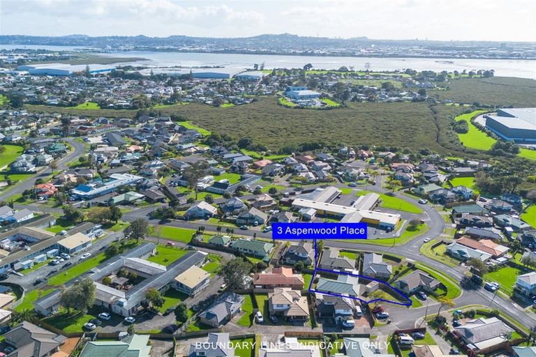 Photo of property in 3 Aspenwood Place, Favona, Auckland, 2024