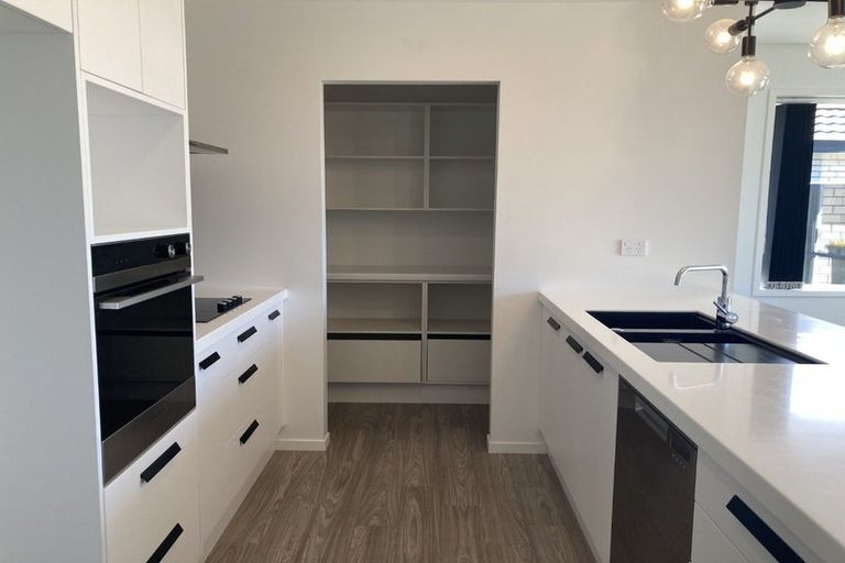 Photo of property in 17 Ed Hillary Drive, Rolleston, 7615