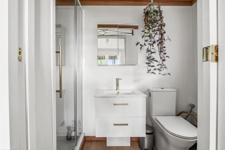 Photo of property in 103 Pembroke Street, Hamilton Lake, Hamilton, 3204