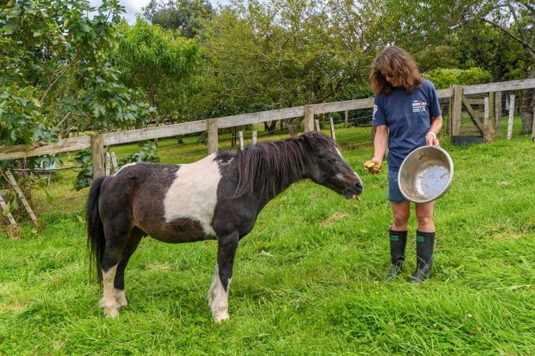 Photo of property in 740a Belk Road, Omanawa, 3171