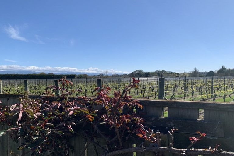 Photo of property in 159 Regent Street, Martinborough, 5711