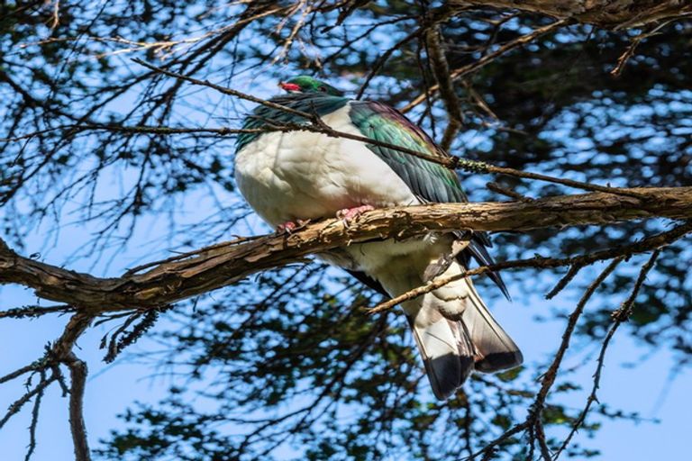 Photo of property in 17 Taupahi Road, Turangi, 3334
