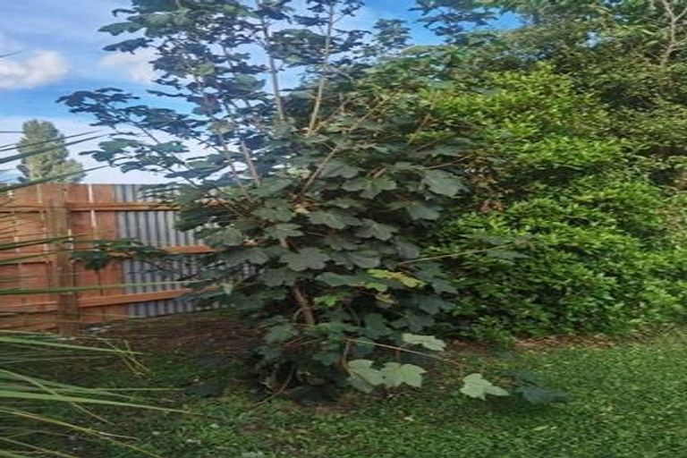 Photo of property in 3 Hengist Street, Norsewood, 4974