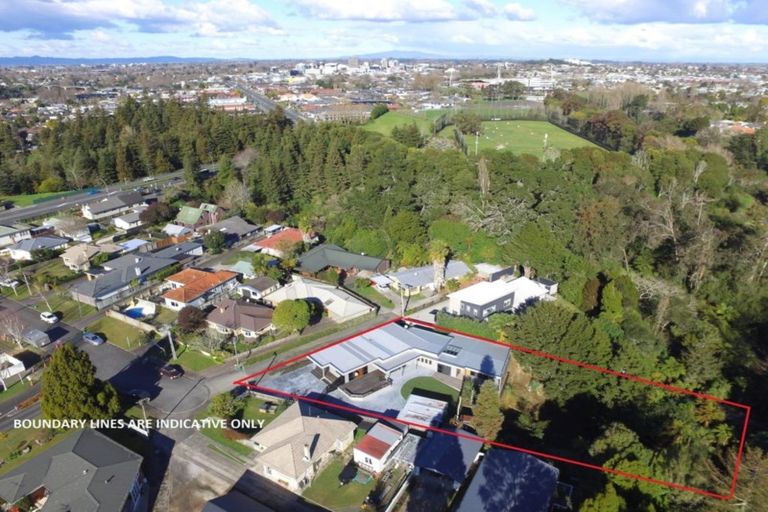 Photo of property in 15 Darley Street, Maeroa, Hamilton, 3200