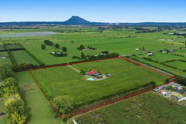 Photo of property in 164 Otakiri Road, Edgecumbe, Whakatane, 3192