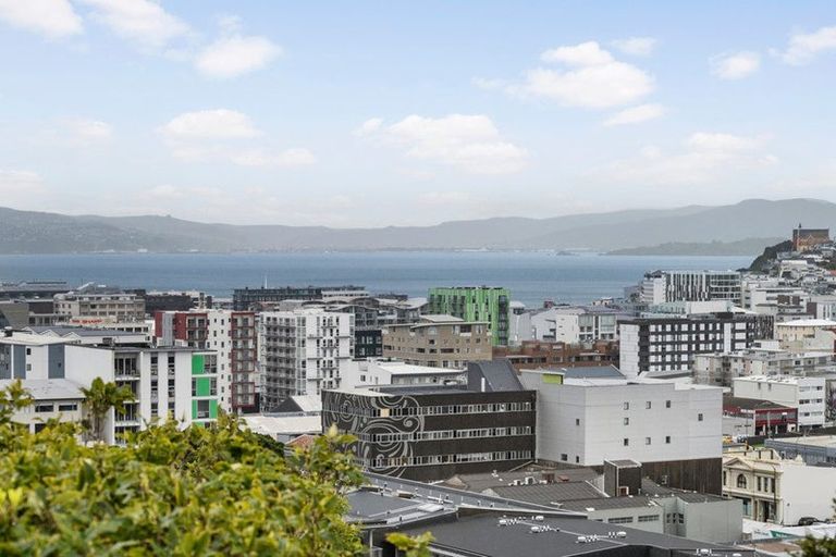 Photo of property in 53 Thompson Street, Mount Cook, Wellington, 6011