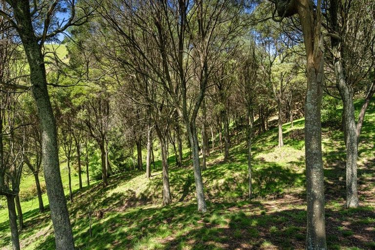 Photo of property in 231 Aniseed Valley Road, Aniseed Valley, Richmond, 7081