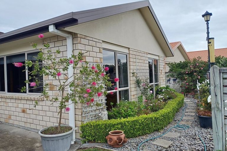 Photo of property in 17/100 Millers Road, Brookfield, Tauranga, 3110