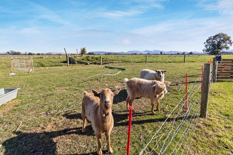 Photo of property in 15 Stewart Road, Orari, Temuka, 7986