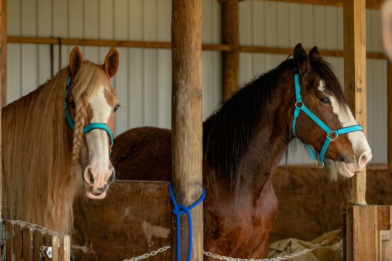 Photo of property in 97f Poplar Lane, Edgecumbe, Whakatane, 3192