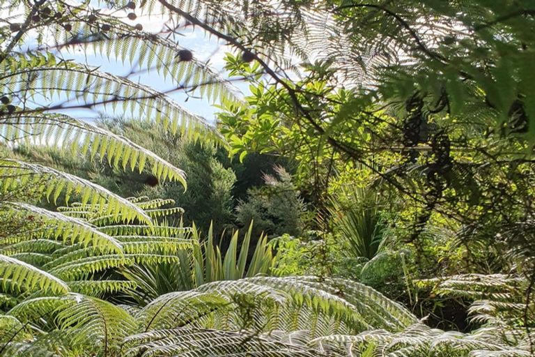 Photo of property in 19 Okura Drive, Kerikeri, 0230