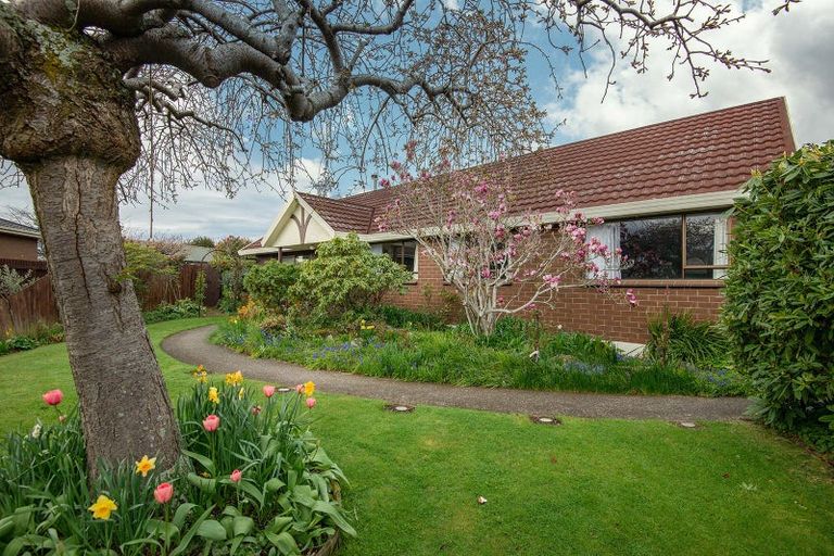 Photo of property in 93 High Street, Mosgiel, 9024