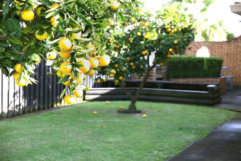 Photo of property in 51 Barnhill Crescent, Pahurehure, Papakura, 2113