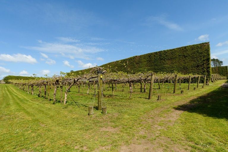 Photo of property in 566 Belk Road, Omanawa, Tauranga, 3171