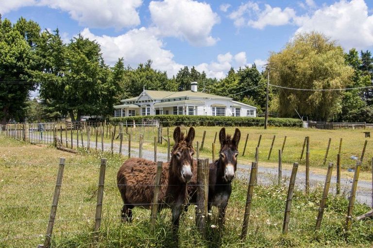 Photo of property in 9752 State Highway 2, Waihi, 3681