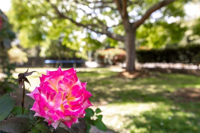 Photo of property in 576 Great South Road, Huntly, 3700