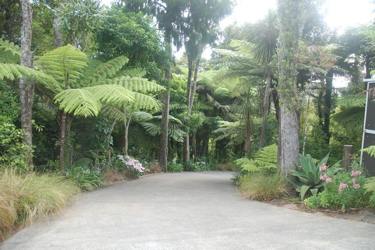 Photo of property in 45 Jonkers Road, Waitakere, Henderson, 0782