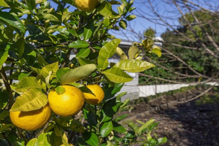 Photo of property in 52 Kimihia Road, Huntly, 3700