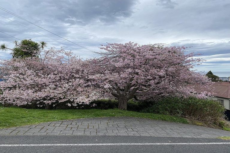 Photo of property in 6a Hart Street, Belleknowes, Dunedin, 9011