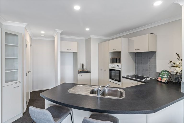 Photo of property in 438e Tristram Street, Whitiora, Hamilton, 3200