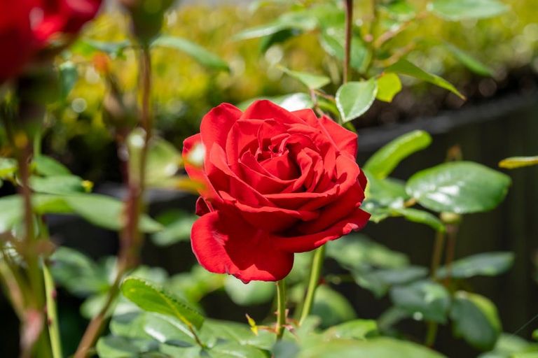 Photo of property in 125 Burns Street, Leamington, Cambridge, 3432