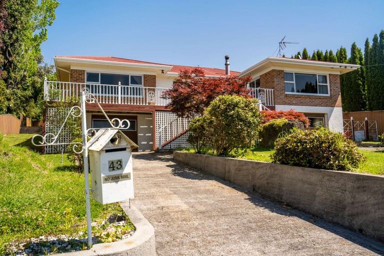 Photo of property in 41 Seaview Road, Otumoetai, Tauranga, 3110