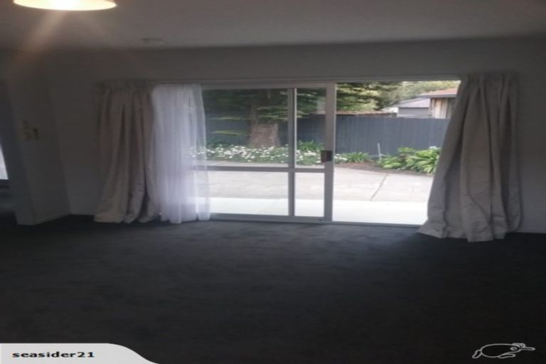 Photo of property in 19 Pukeko Place, Southshore, Christchurch, 8062