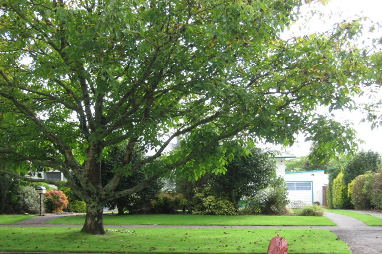 Photo of property in 222 West Parkdale Street, Tokoroa, 3420