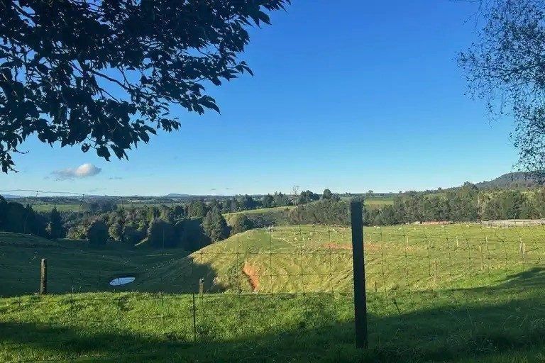 Photo of property in 1431a No 2 Road, Te Ranga, Te Puke, 3182