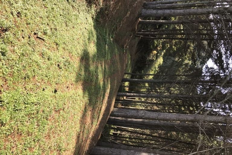 Photo of property in 75 Parakiore Road, Ngararatunua, Whangarei, 0176