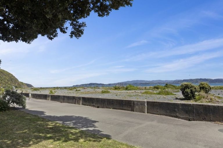 Photo of property in 24 Pukatea Street, Eastbourne, Lower Hutt, 5013